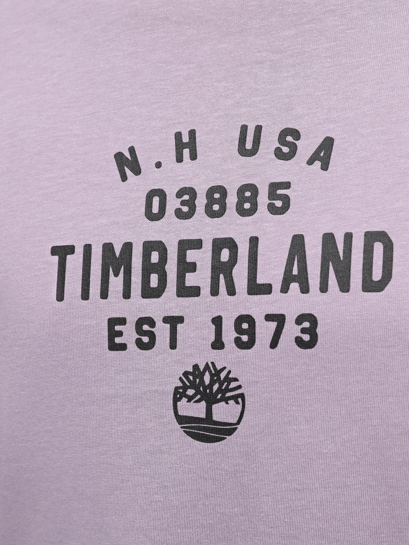 Футболка Timberland Graphic модель TB0A5UF7EG7 Фото