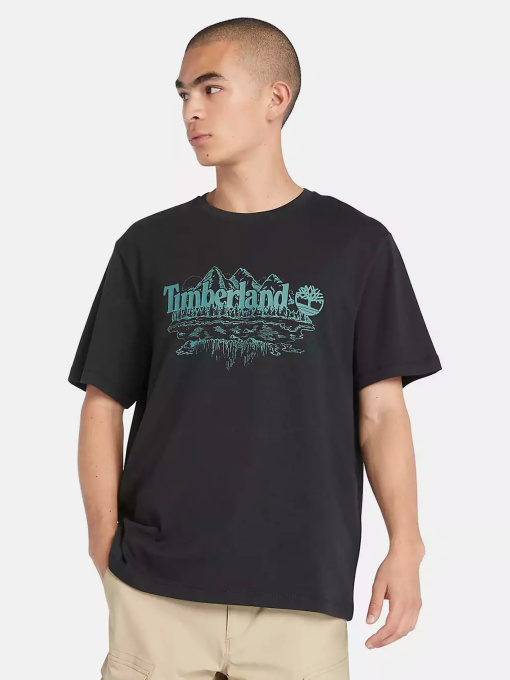 Футболка Timberland Mountain Logo модель TB0A5UFU001 Фото