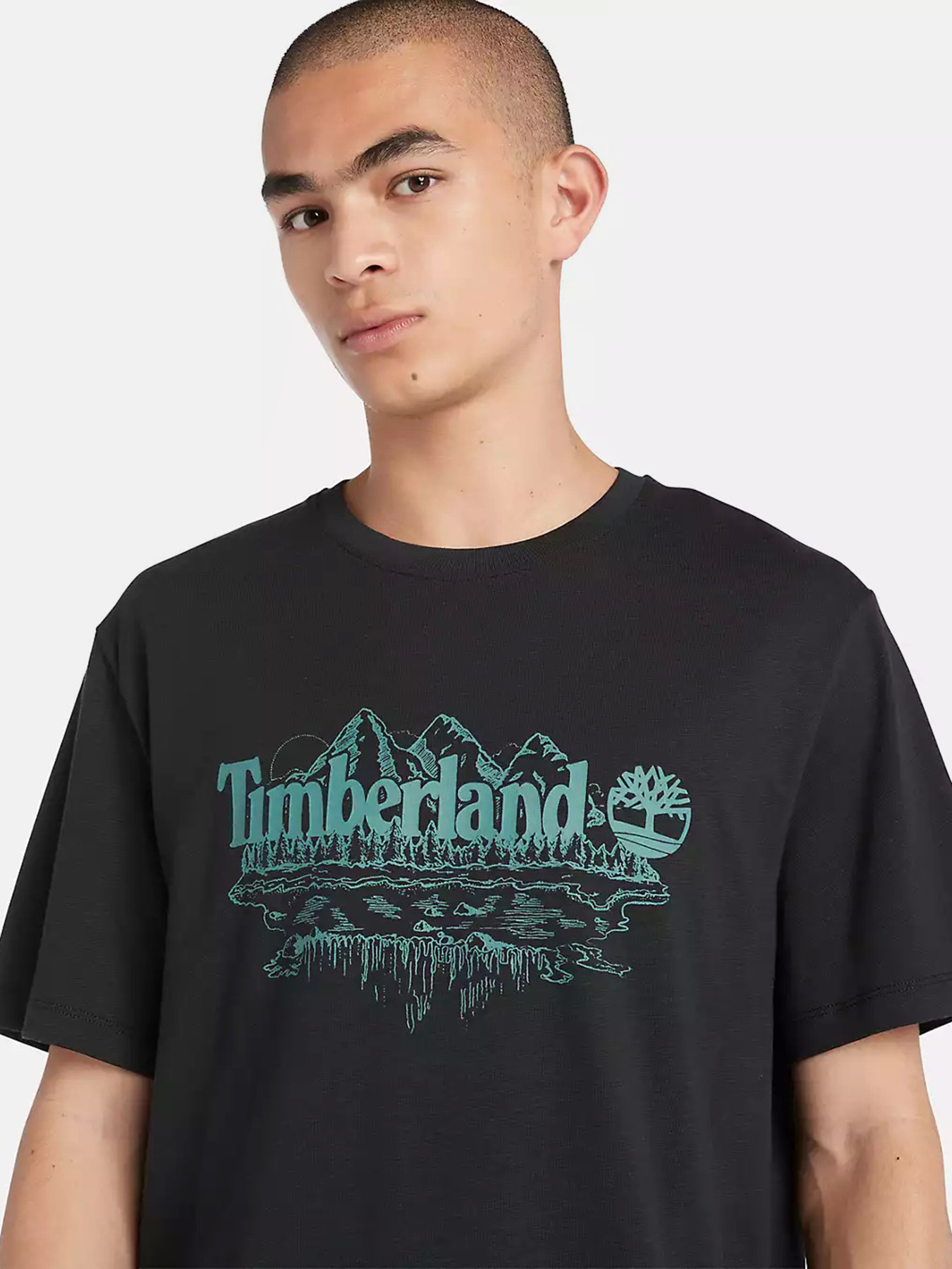Футболка Timberland Mountain Logo модель TB0A5UFU001 Фото
