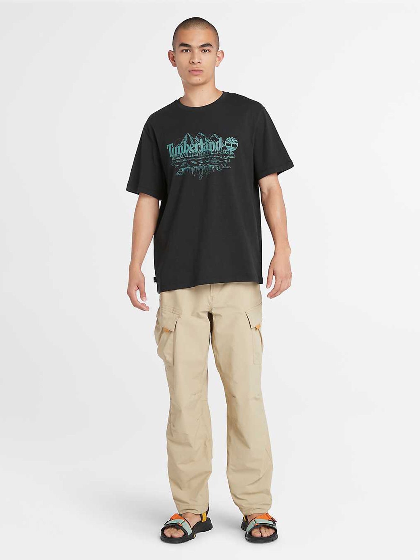 Футболка Timberland Mountain Logo модель TB0A5UFU001 Фото