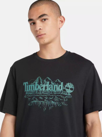 Футболка Timberland Mountain Logo модель TB0A5UFU001 Фото