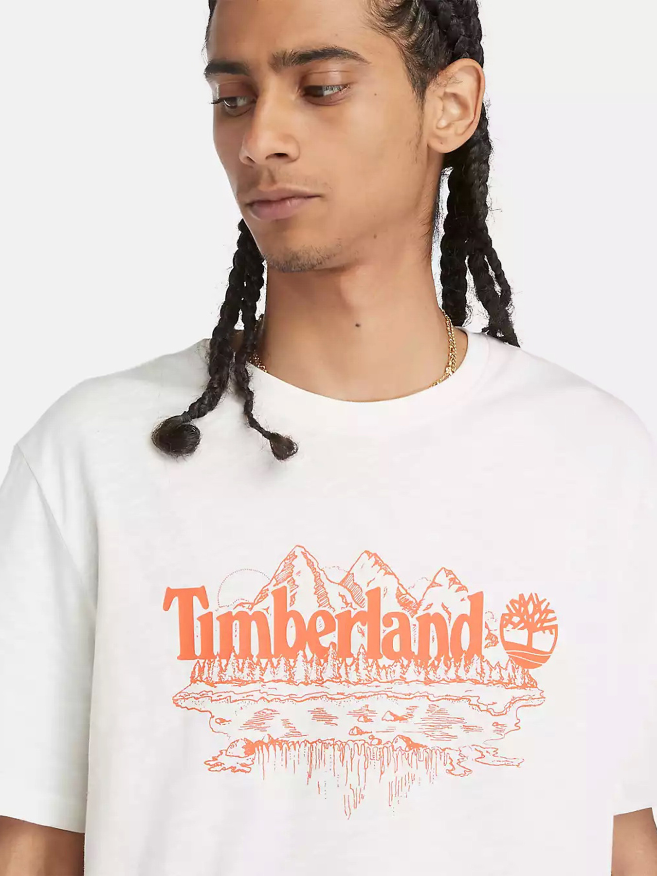 Футболка Timberland Mountain Logo модель TB0A5UFUCM9 Футболка Timberland Mountain Logo модель TB0A5UFUCM9 Фото