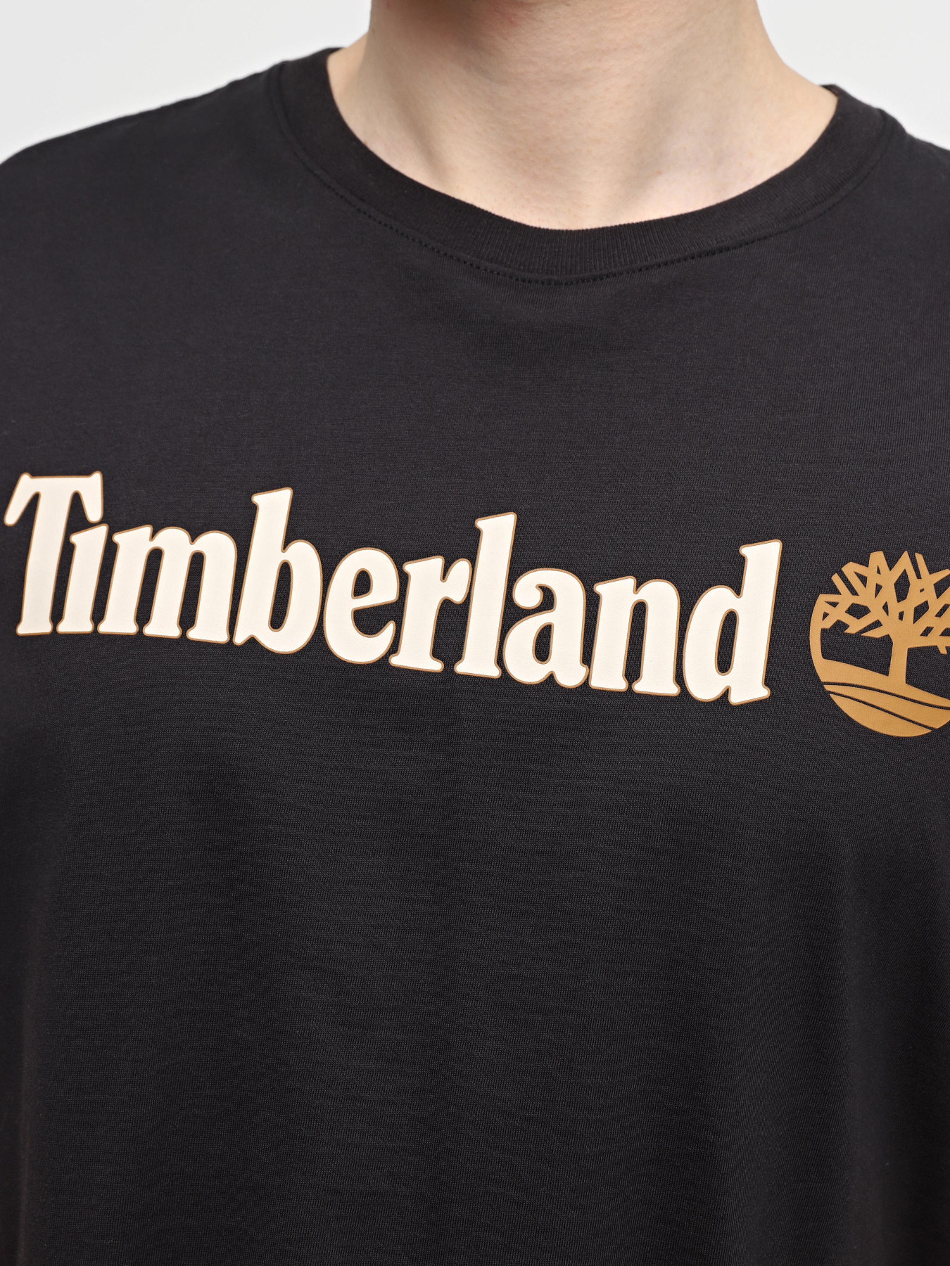 Футболка Timberland Linear Logo модель TB0A5UPQ001 Фото