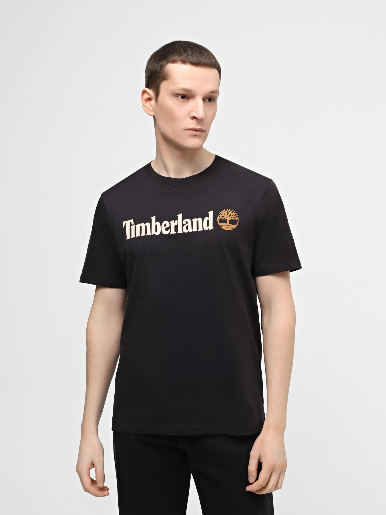 Футболка Timberland Linear Logo модель TB0A5UPQ001 Футболка Timberland Linear Logo модель TB0A5UPQ001 Фото