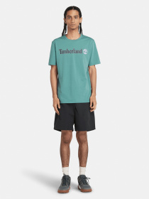 Футболка Timberland Linear Logo модель TB0A5UPQCL6 Фото