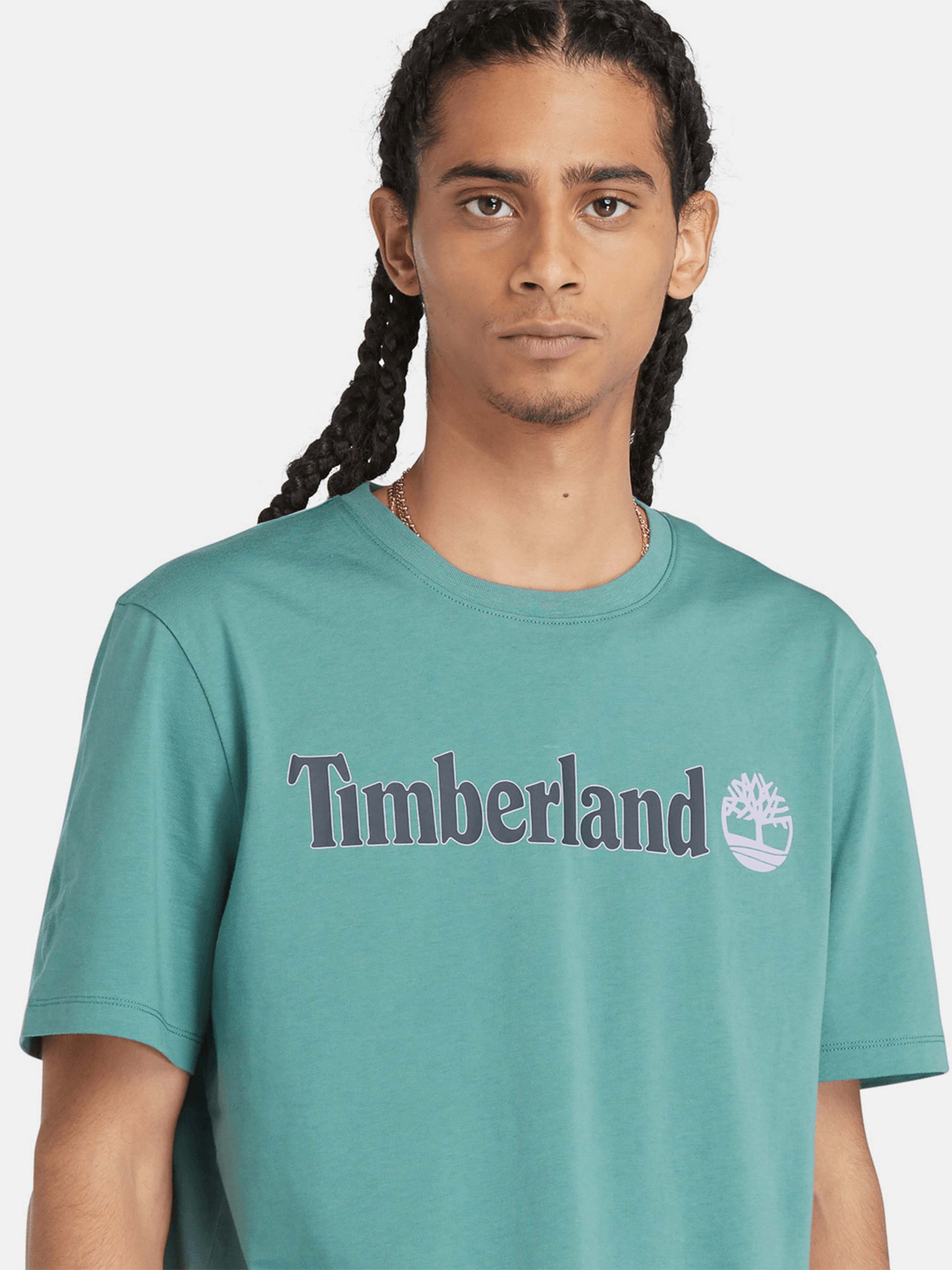 Футболка Timberland Linear Logo модель TB0A5UPQCL6 Фото