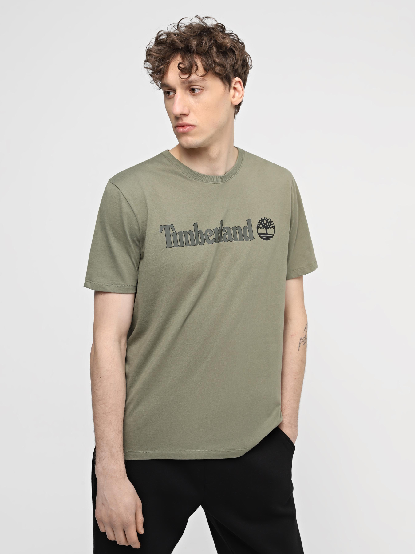 Футболка Timberland Linear Logo модель TB0A5UPQ590 Фото