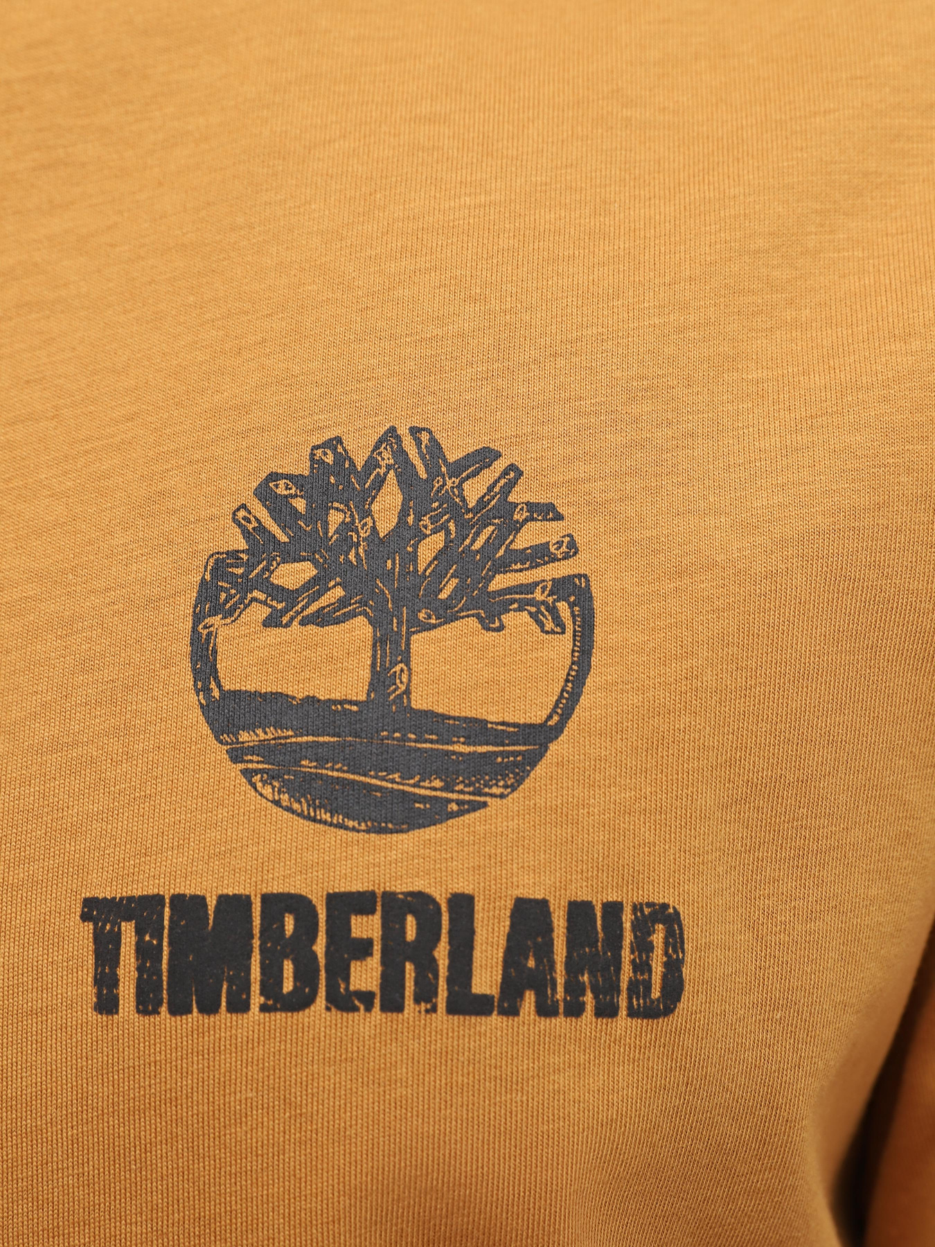 Футболка Timberland Graphic модель TB0A5V7KP47 Фото