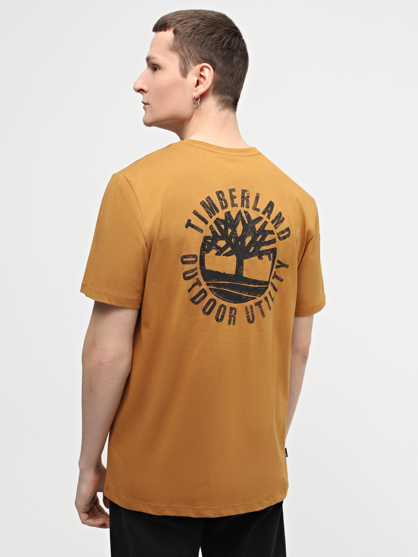 Футболка Timberland Graphic модель TB0A5V7KP47 Фото