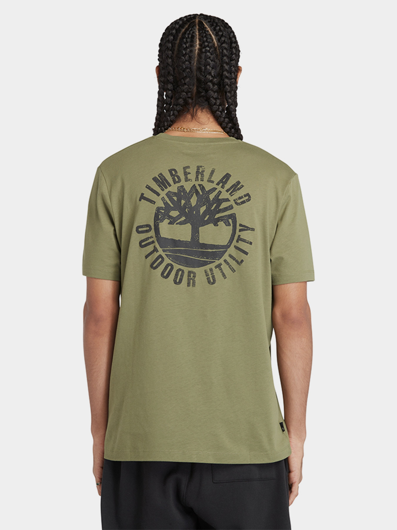 Футболка Timberland Graphic модель TB0A5V7KEG5 Фото