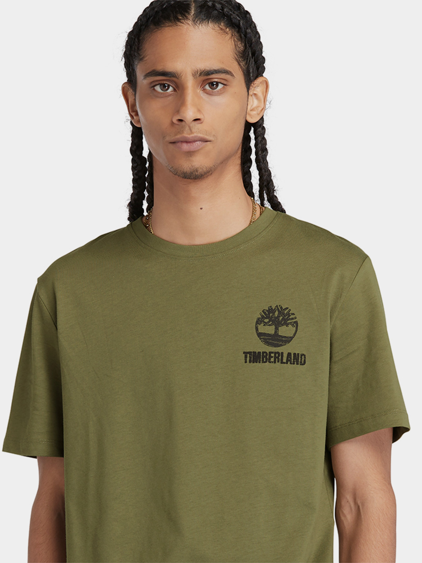 Футболка Timberland Graphic модель TB0A5V7KEG5 Фото