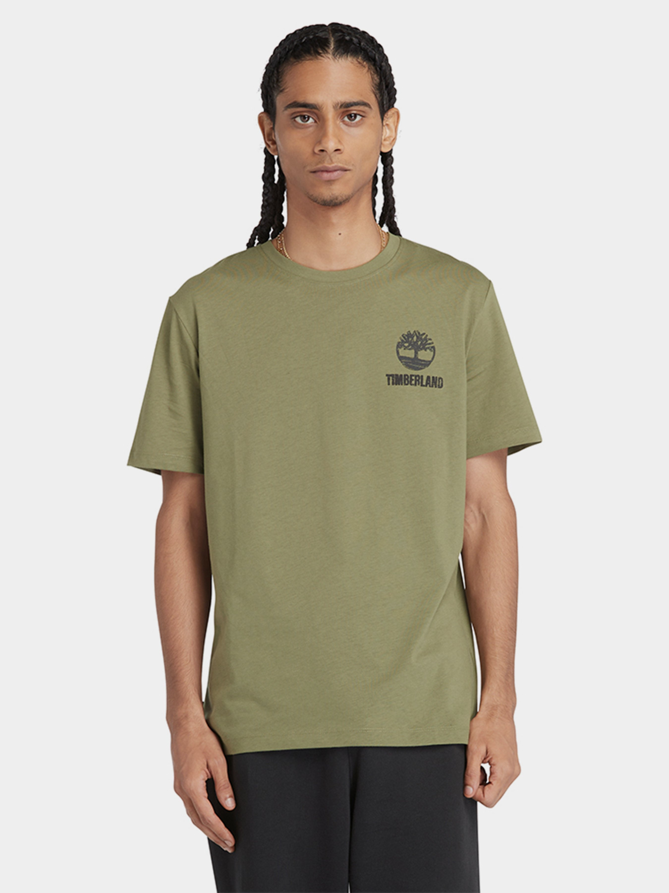 Футболка Timberland Graphic модель TB0A5V7KEG5 Фото