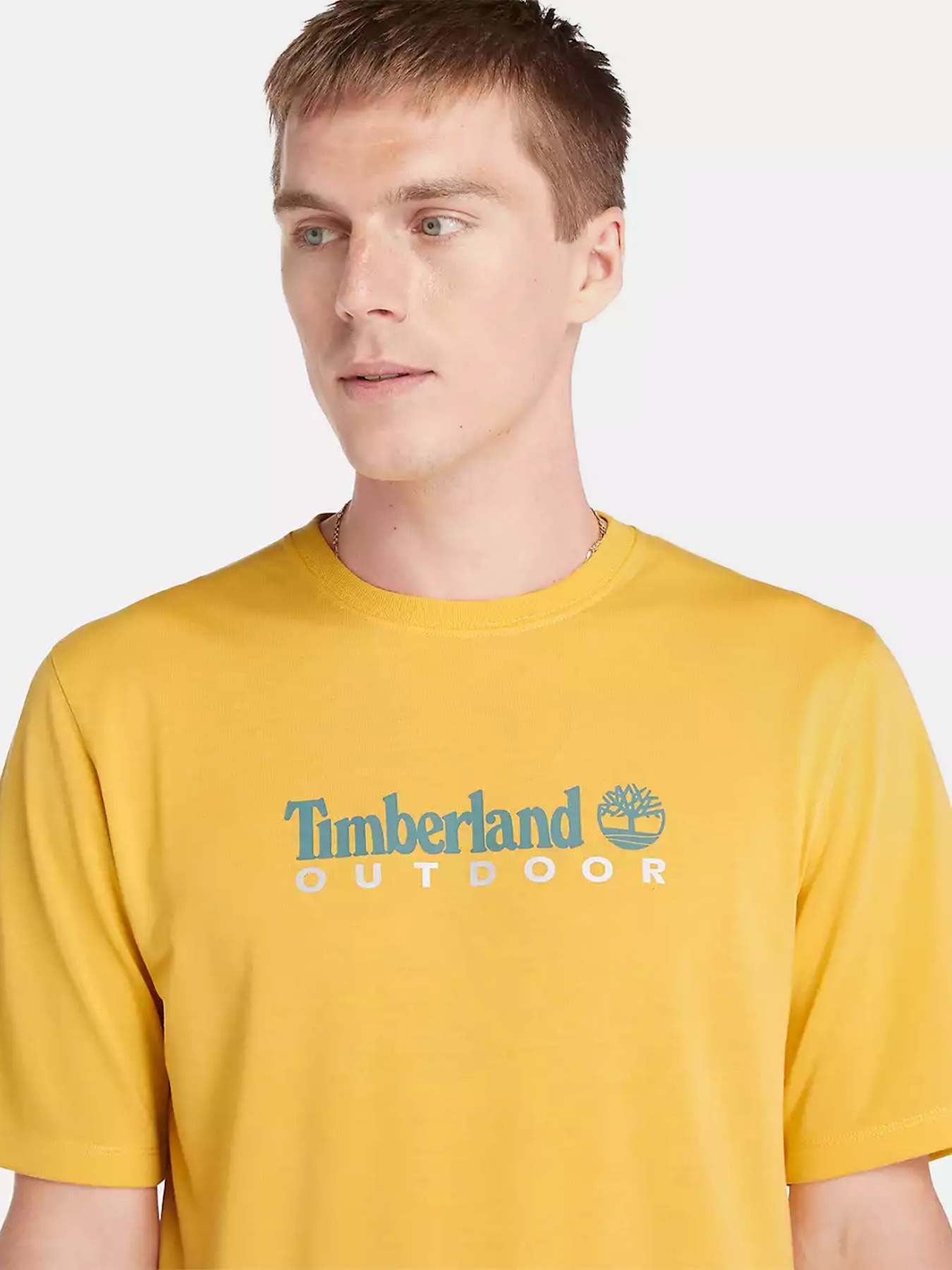 Футболка Timberland Anti-UV Printed модель TB0A5SFXEG4 Фото