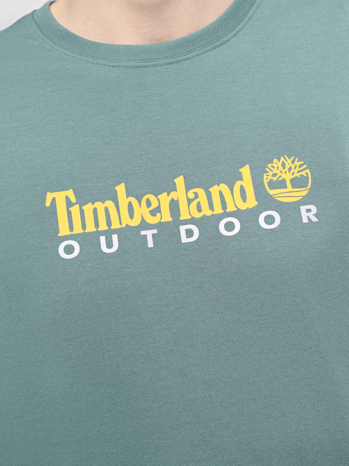 Футболка Timberland Anti-UV Printed модель TB0A5SFXCL6 Фото