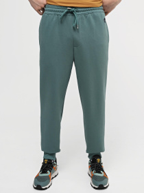 Джоггеры Timberland Loopback модель TB0A5V5QCL6 Фото