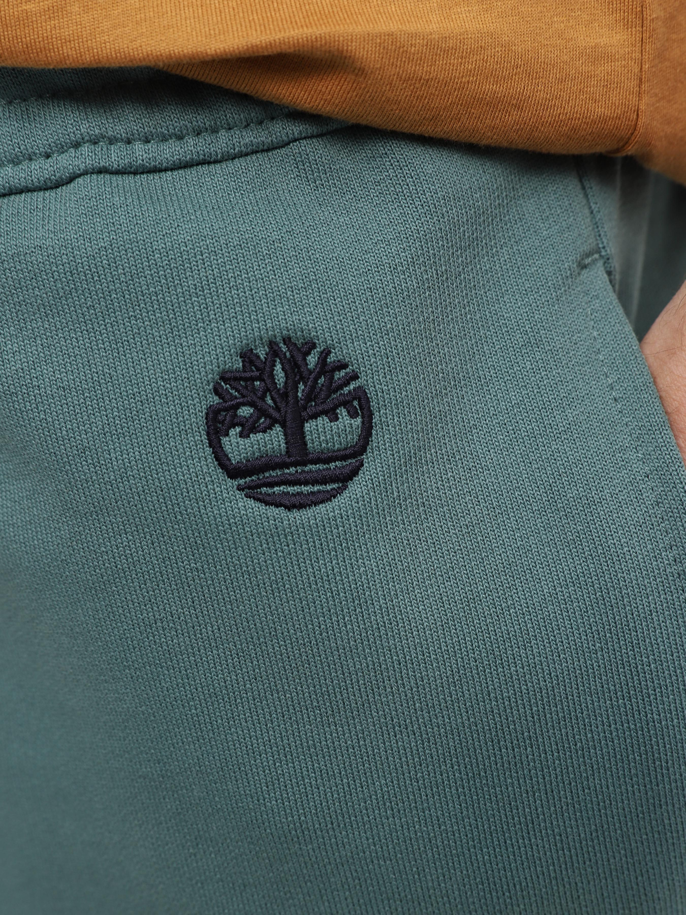 Джоггеры Timberland Loopback модель TB0A5V5QCL6 Фото