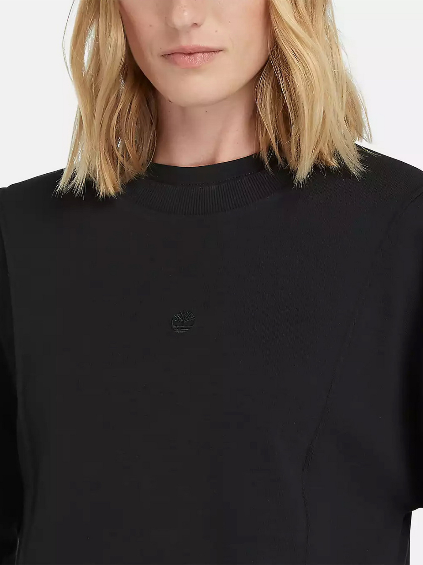 Свитшот Timberland Crew модель TB0A5NQQ001 Фото