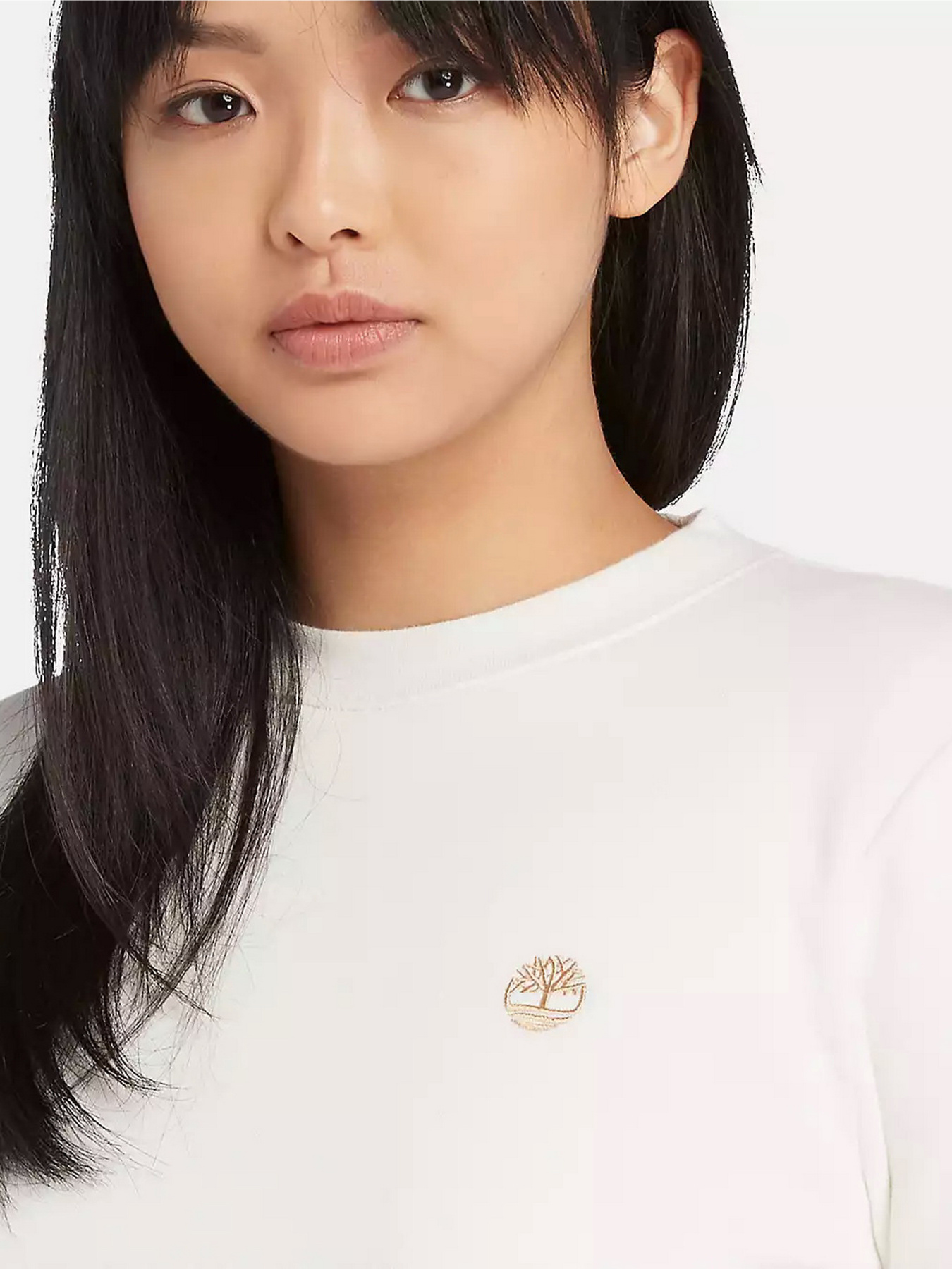 Світшот Timberland Brushed Back Crew модель TB0A5NMXCM9 Фото