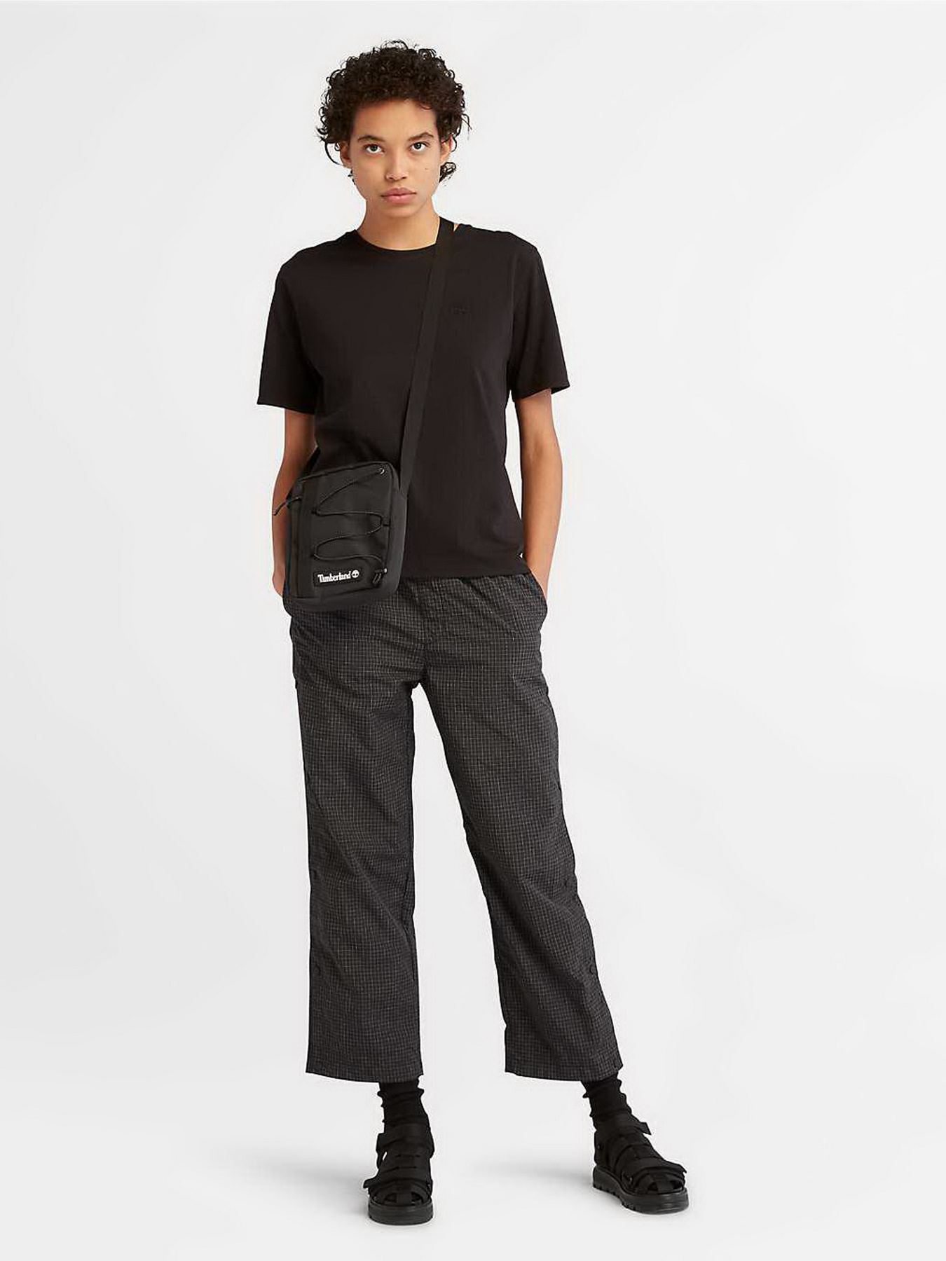 Футболка Timberland Dunstan модель TB0A6ATE001 Фото