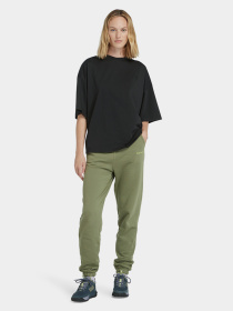 Футболка Timberland Dunstan модель TB0A5P8X001 Фото