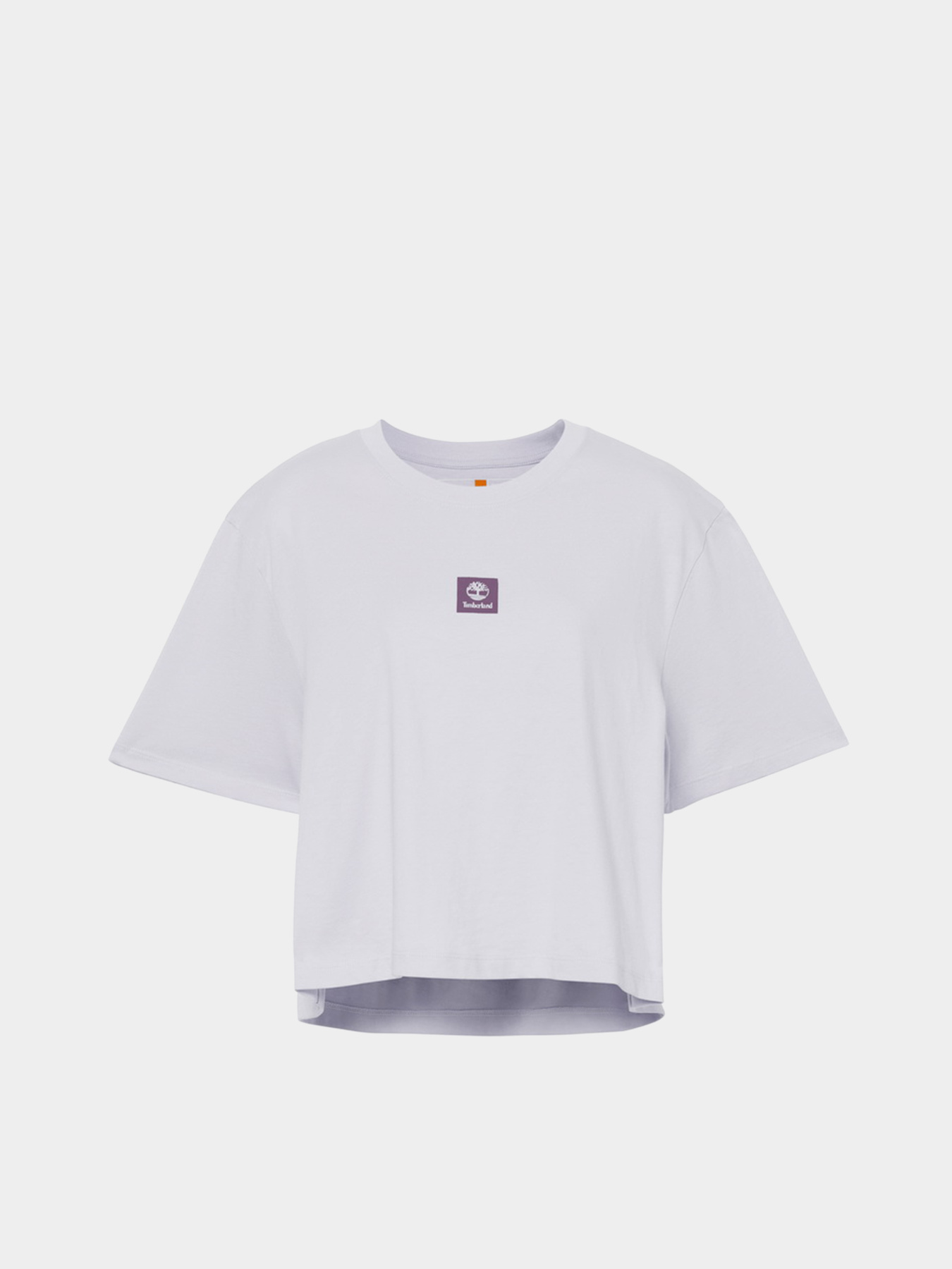 Футболка Timberland Logo модель TB0A5RZXEG3 Фото