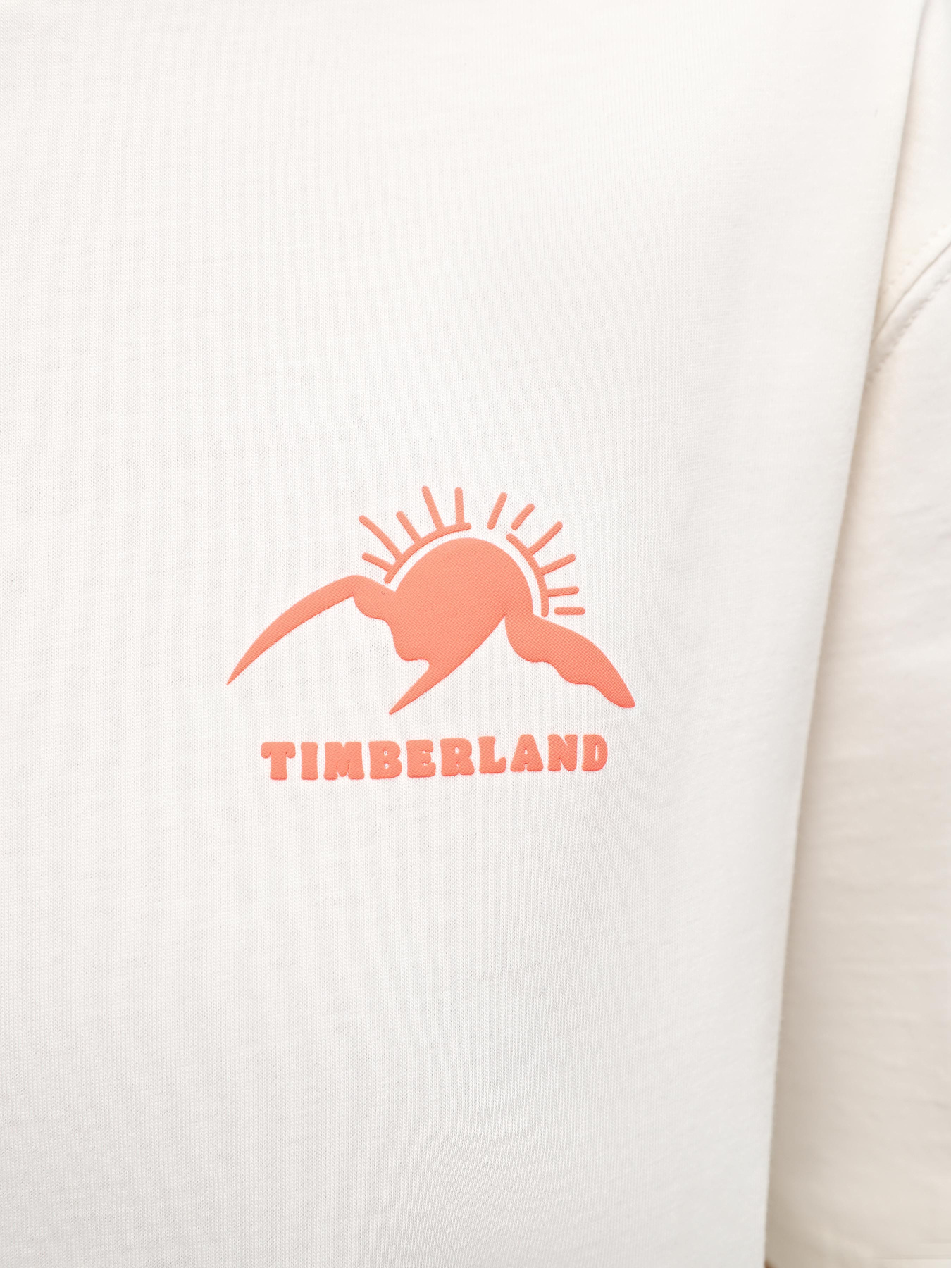 Футболка Timberland Hike Life Graphic модель TB0A5VTBCM9 Фото