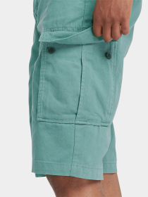 Шорты Timberland Twill Cargo модель TB0A5U1BCL6 Фото