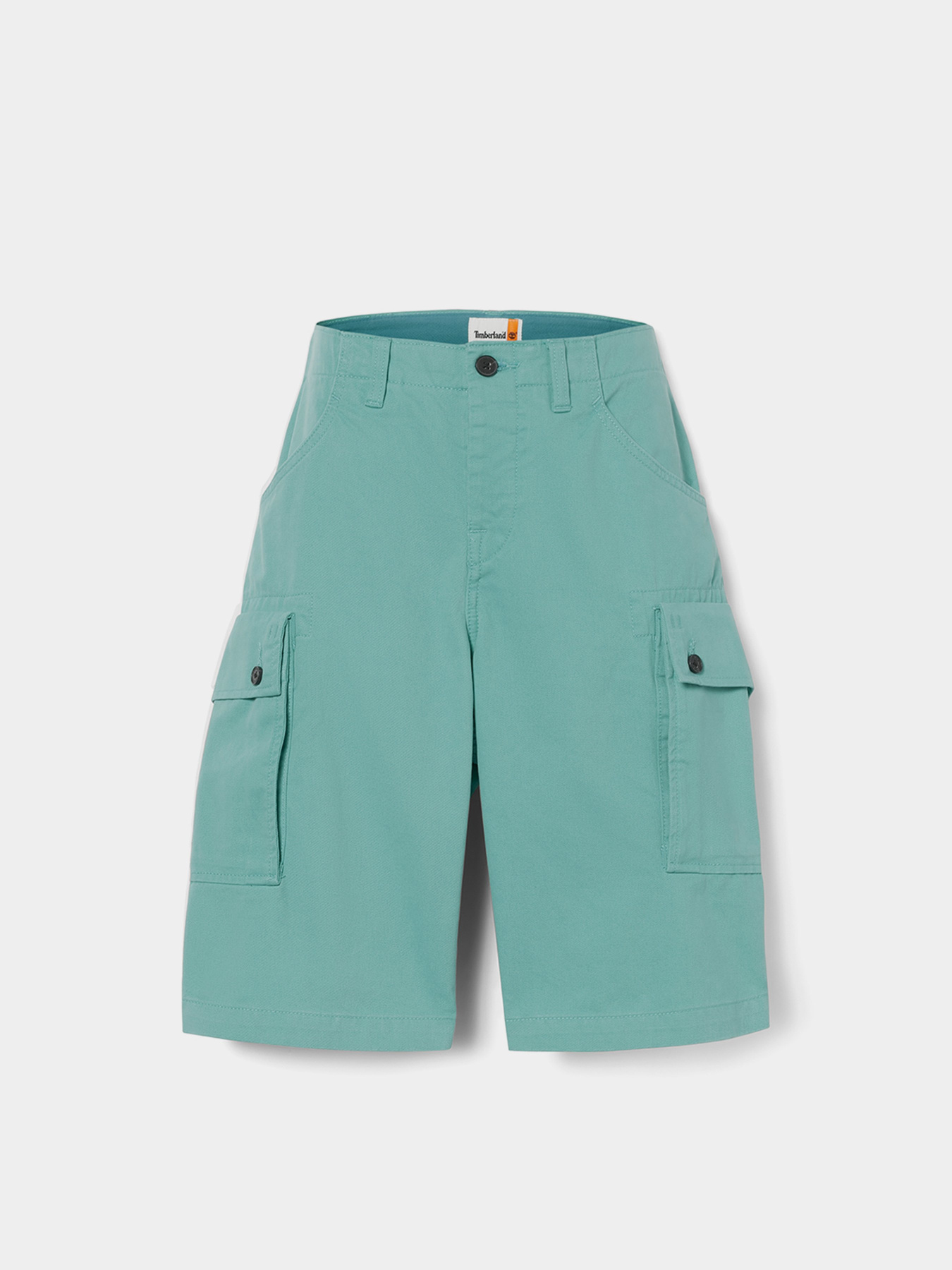 Повседневные шорты Timberland Twill Cargo модель TB0A5U1BCL6 Фото