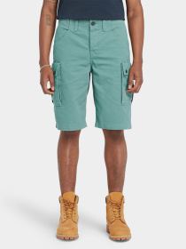 Повседневные шорты Timberland Twill Cargo модель TB0A5U1BCL6 Фото