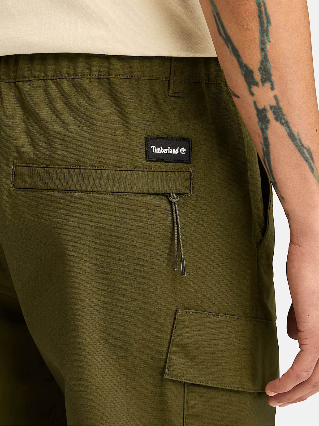 Карго Timberland Baxter Peak Odour Control модель TB0A6Y8A302 Фото