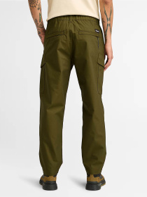 Карго Timberland Baxter Peak Odour Control модель TB0A6Y8A302 Фото