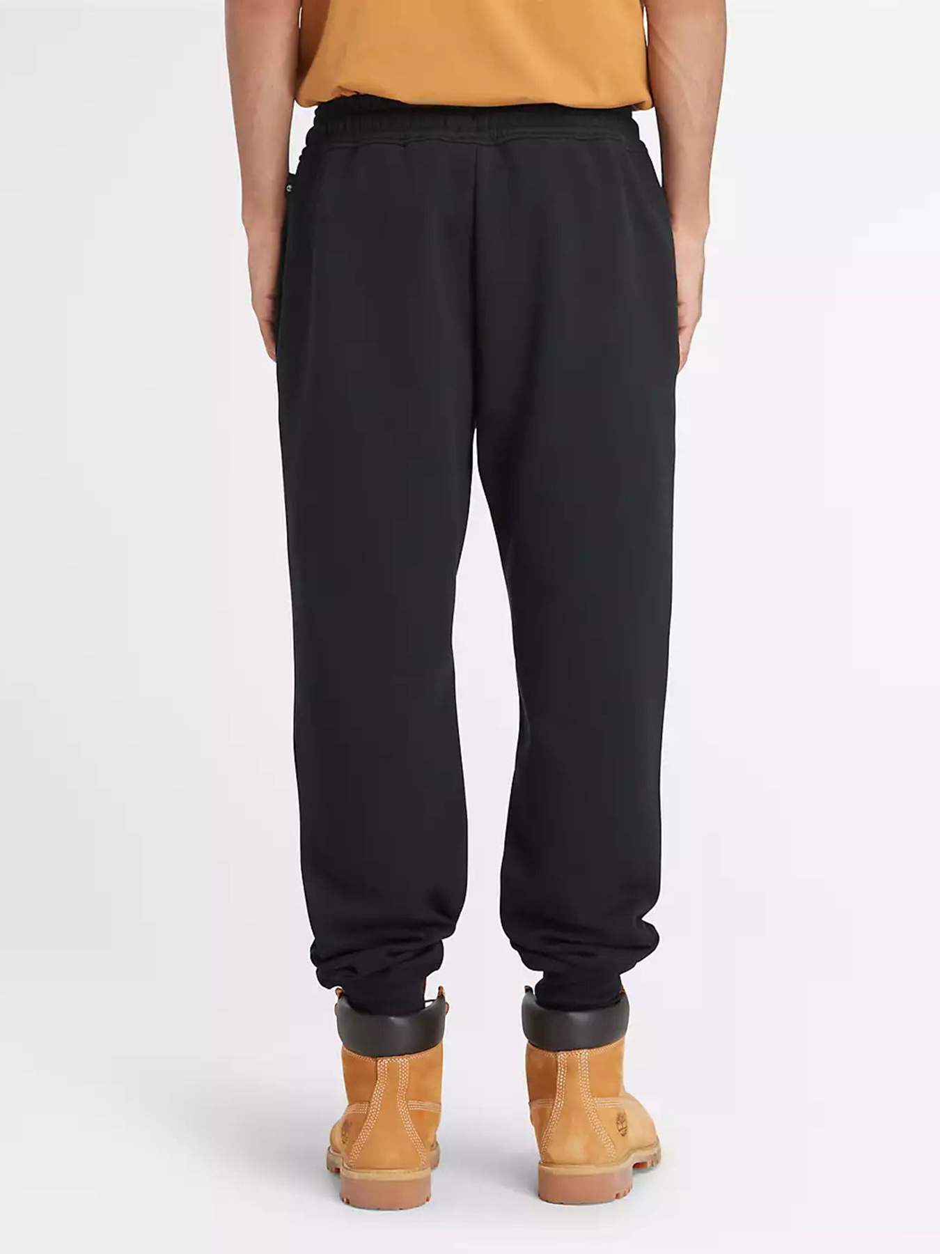 Спортивні штани Timberland Linear Logo модель TB0A5YFB001 Фото