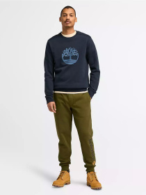 Штани спортивні Timberland Linear Logo модель TB0A5YFB302 Фото