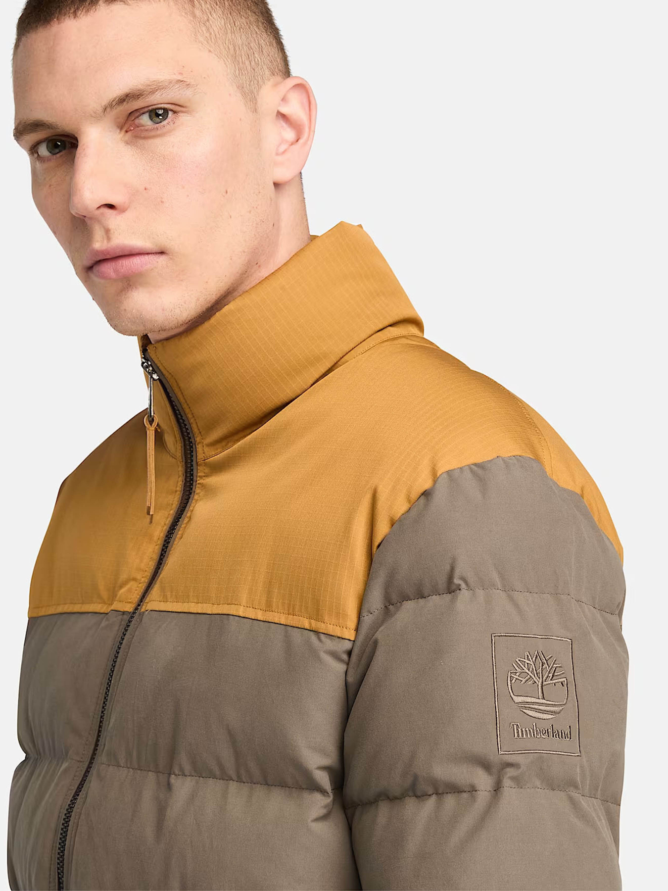 Зимова куртка Timberland Welch Mountain Puffer модель TB0A22XBEKY Фото