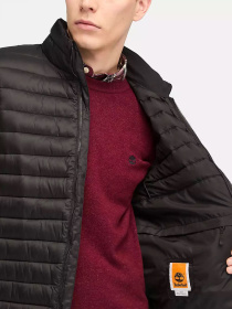 Жилет с утеплителем Timberland Axis Peak Durable Water-Repellent модель TB0A5WPF001 Фото