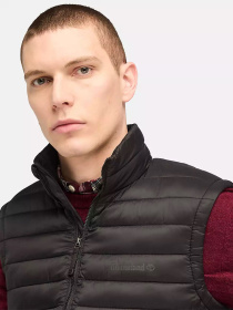 Утепленный жилет Timberland Axis Peak Durable Water-Repellent модель TB0A5WPF001 Фото