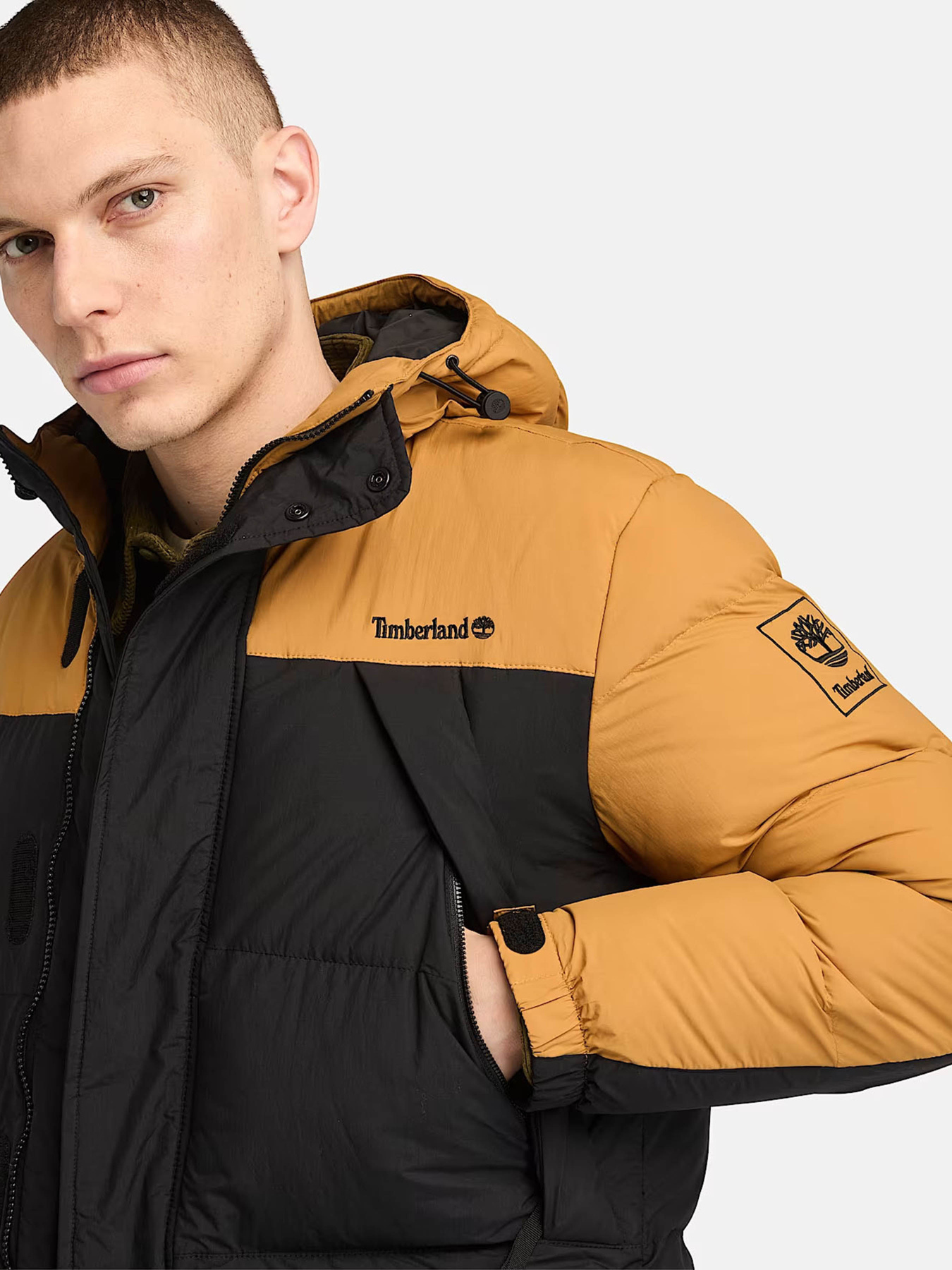 Зимняя куртка Timberland Durable Water-Repellent модель TB0A6267P57 Фото