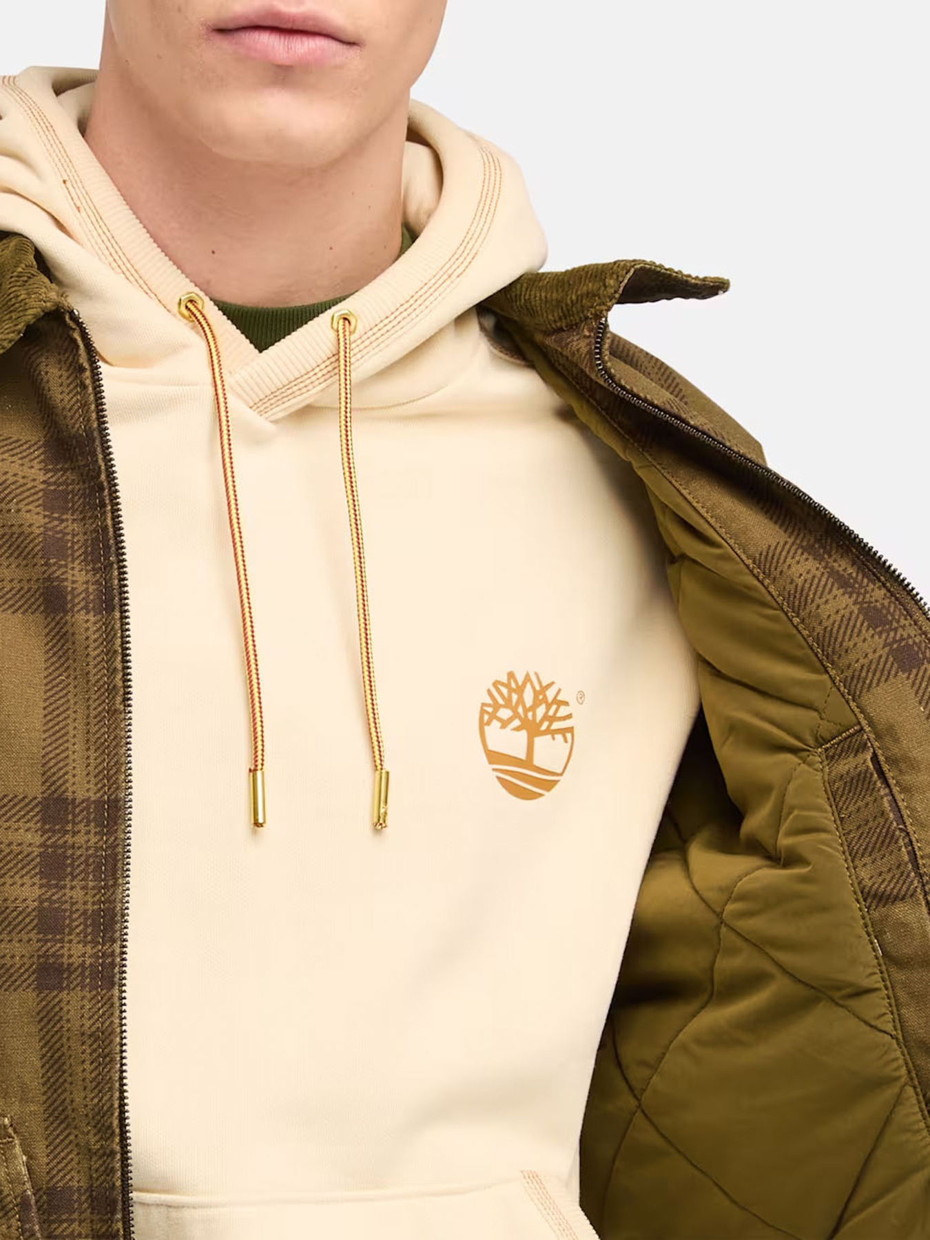 Демисезонная куртка Timberland Strafford Printed модель TB0A63AFEIG Фото