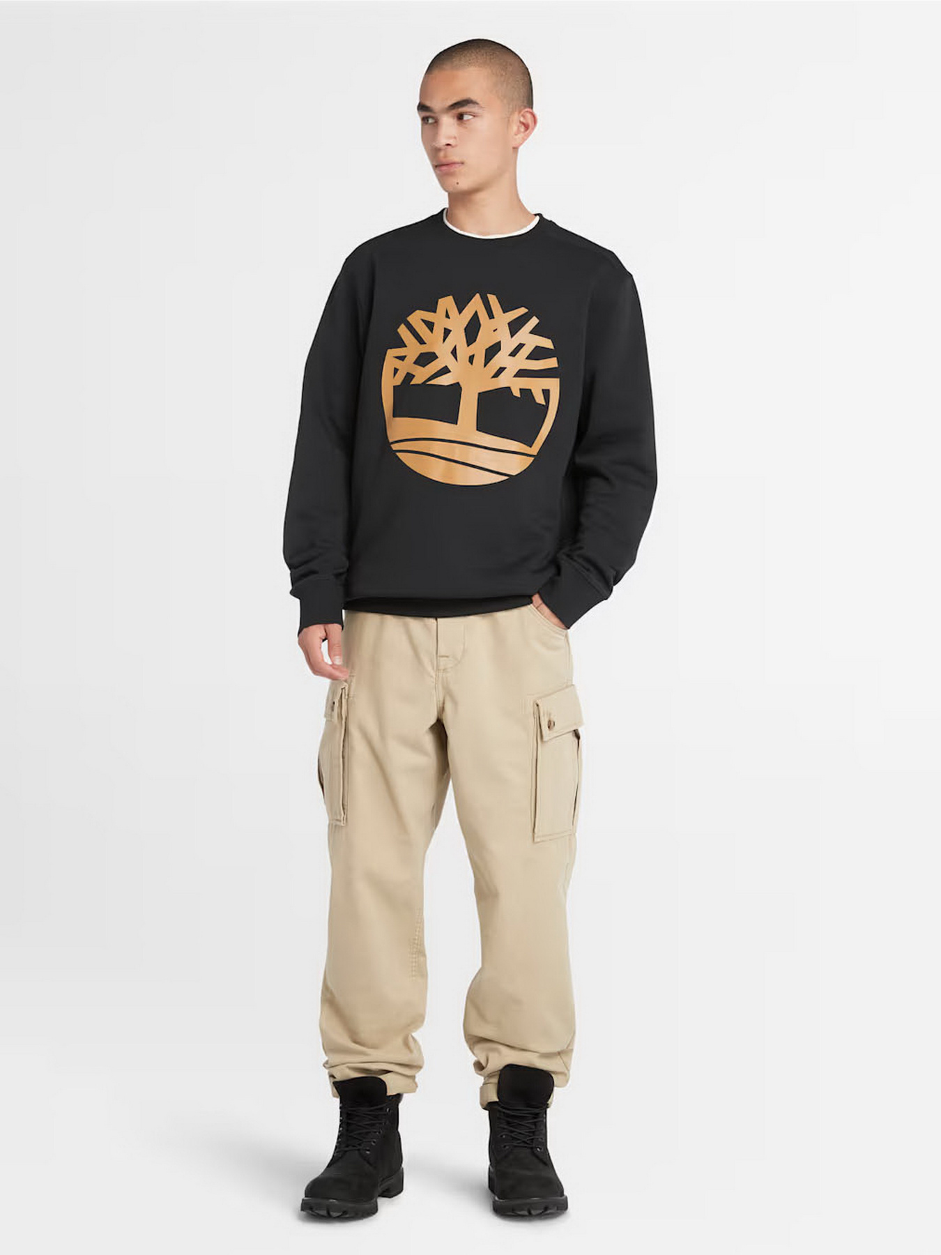 Свитшот Timberland Tree Logo Crewneck модель TB0A2BJ8P56 Фото