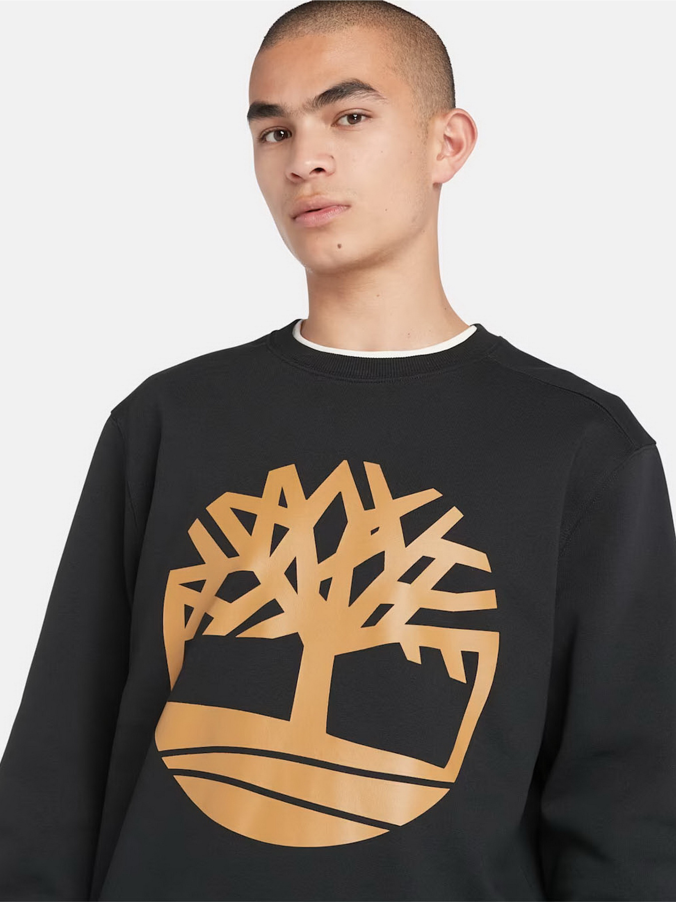 Свитшот Timberland Tree Logo Crewneck модель TB0A2BJ8P56 Фото