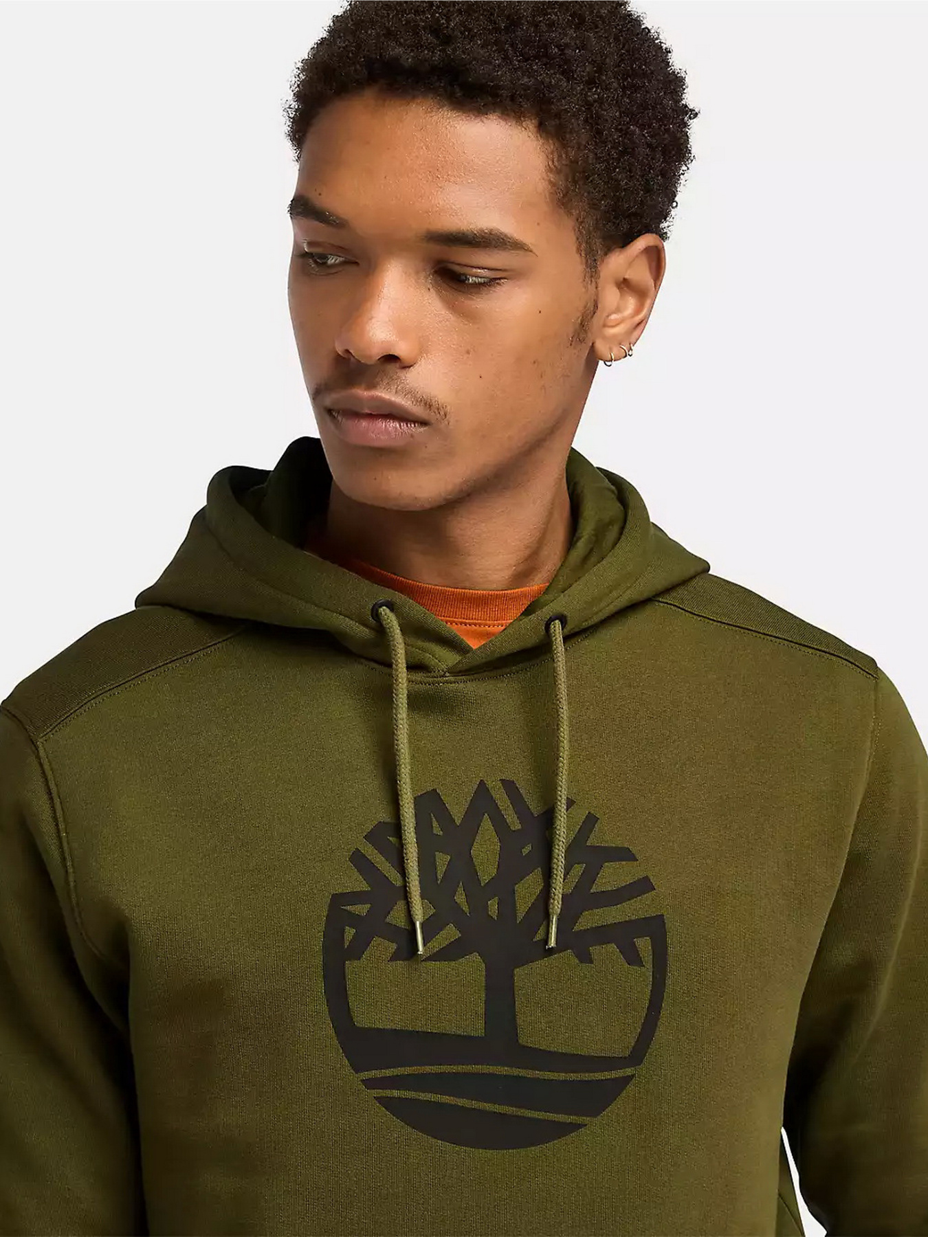 Худи Timberland Kennebec River Tree Logo модель TB0A2BJH302 Фото