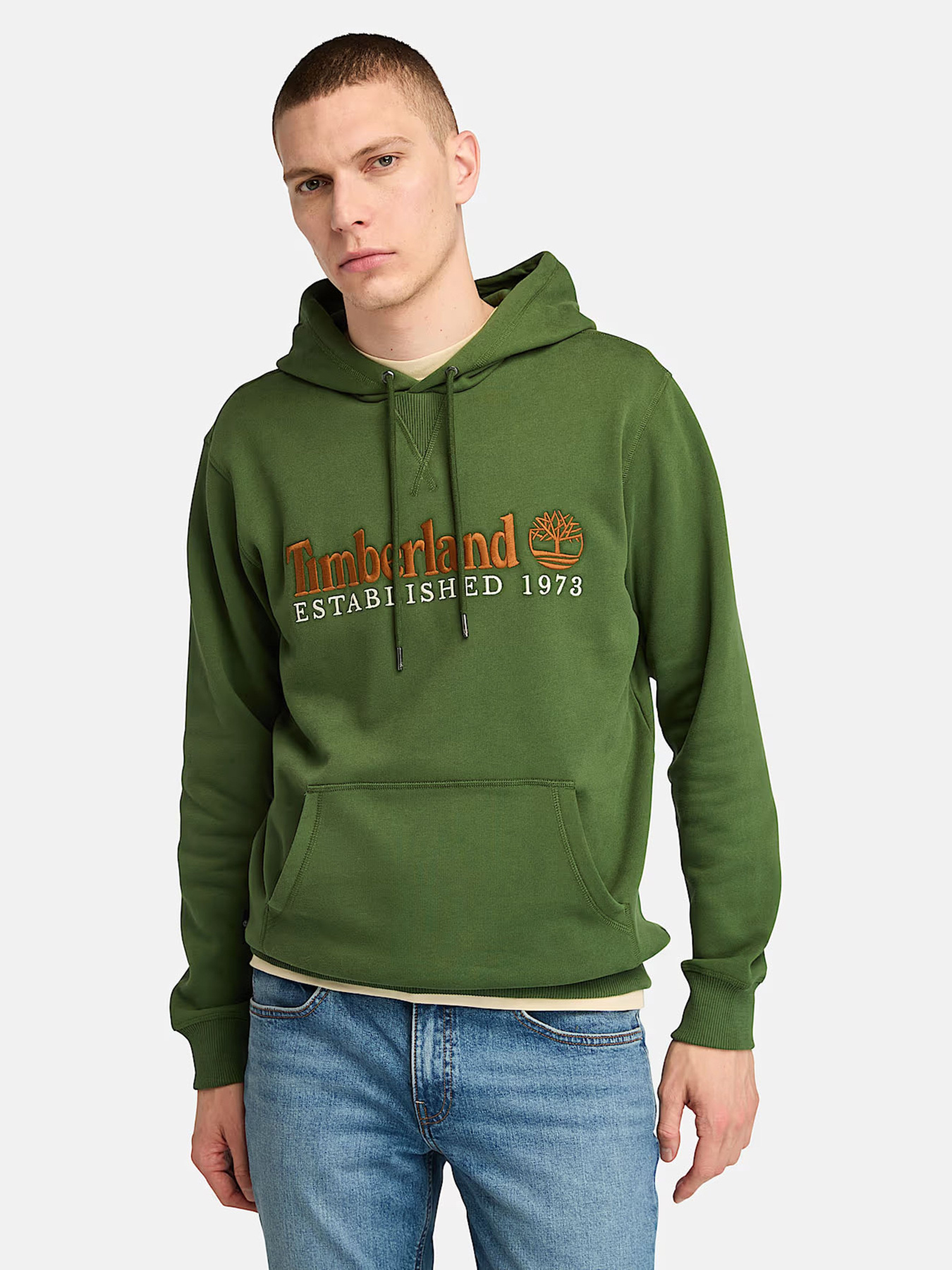 Худи Timberland Established 1973 модель TB0A5NR2EIN Фото