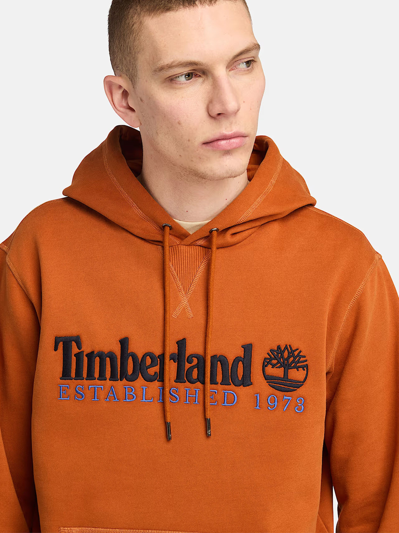 Худи Timberland Established 1973 модель TB0A5NR2888 Фото