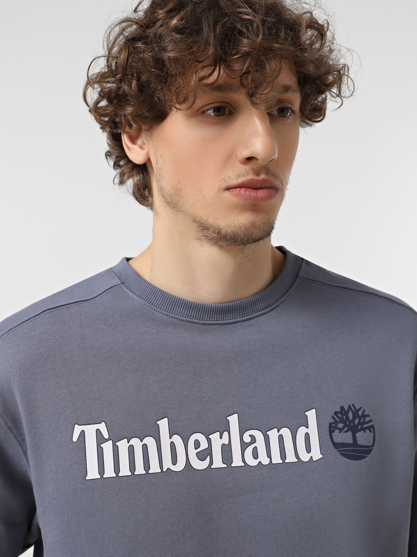 Свитшот Timberland Linear Logo Crew Neck модель TB0A5UJY073 Фото