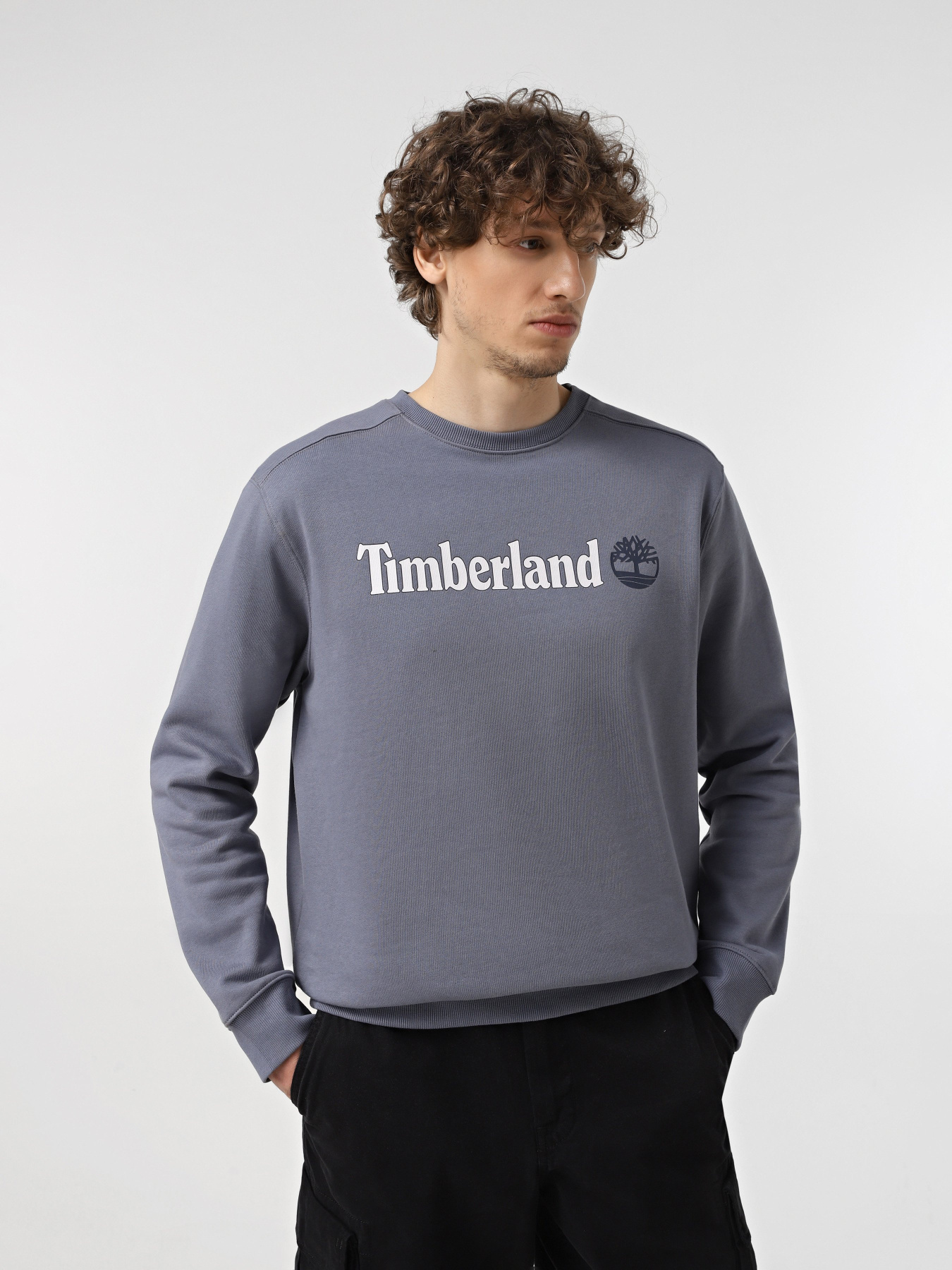 Свитшот Timberland Linear Logo Crew Neck модель TB0A5UJY073 Фото