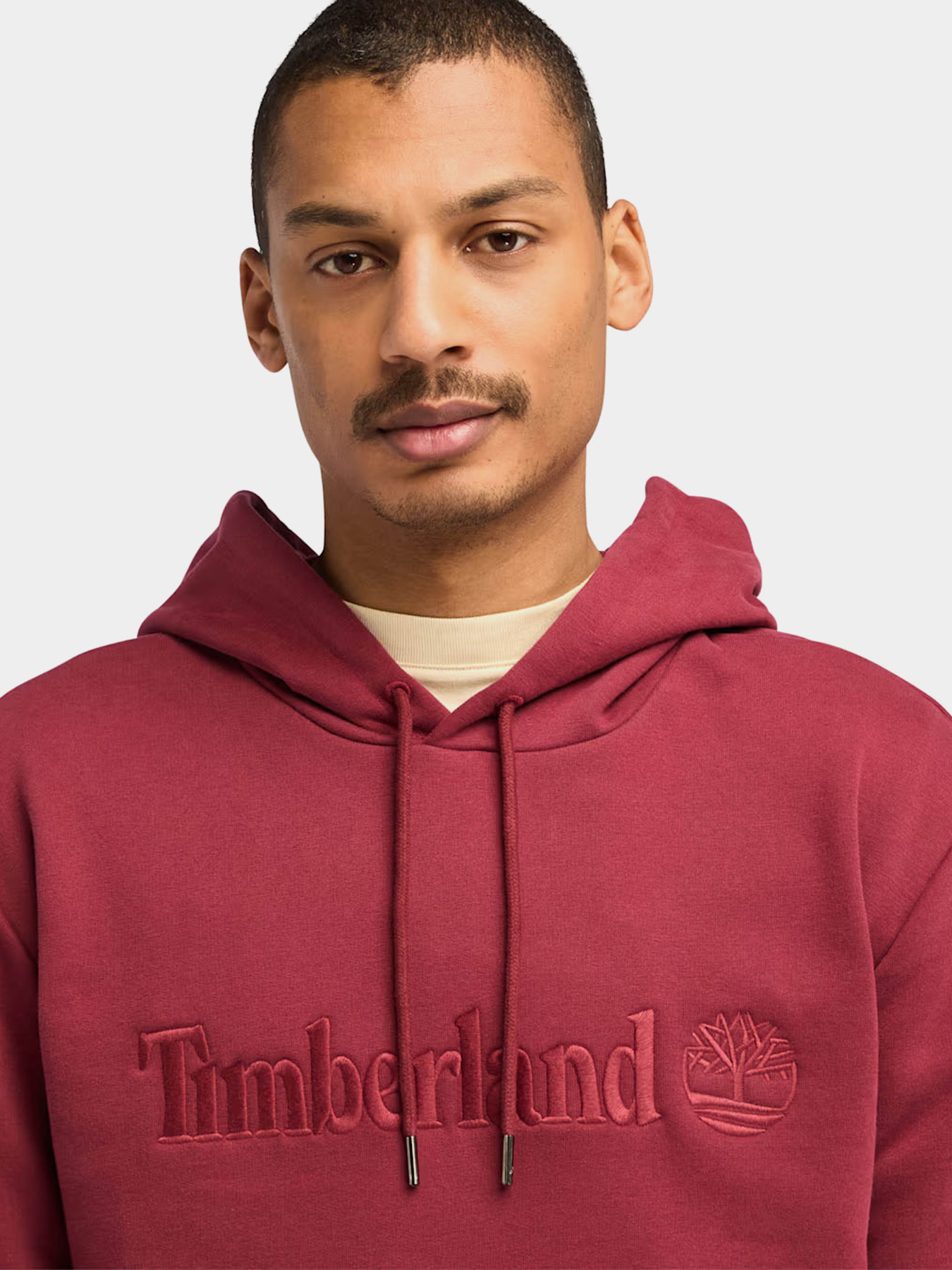 Худі Timberland Hampthon модель TB0A6VFJ600 Фото