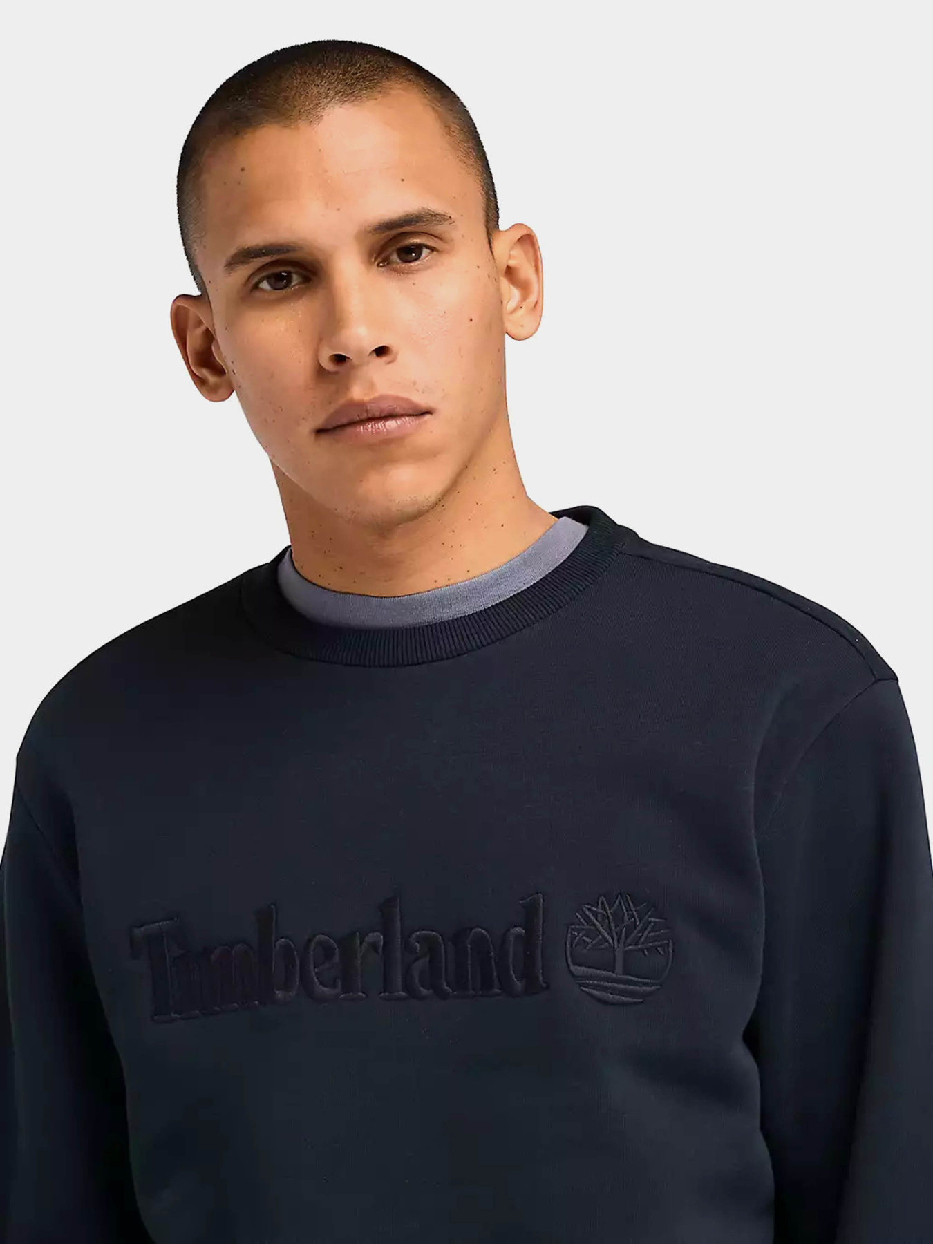 Свитшот Timberland Hampthon Crew Neck модель TB0A6VG6433 Фото
