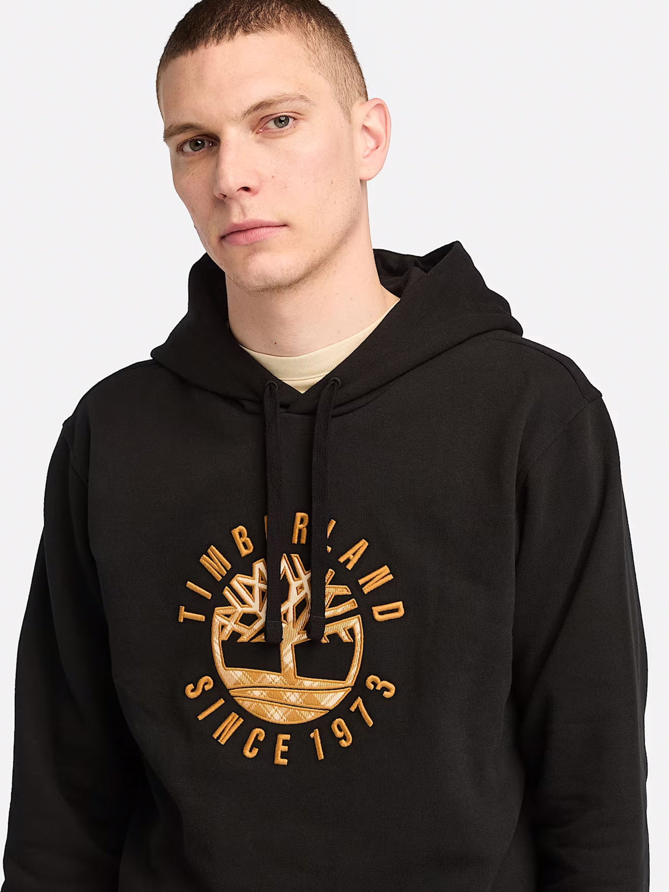 Худи Timberland Holiday Graphic модель TB0A6VGT001 Фото