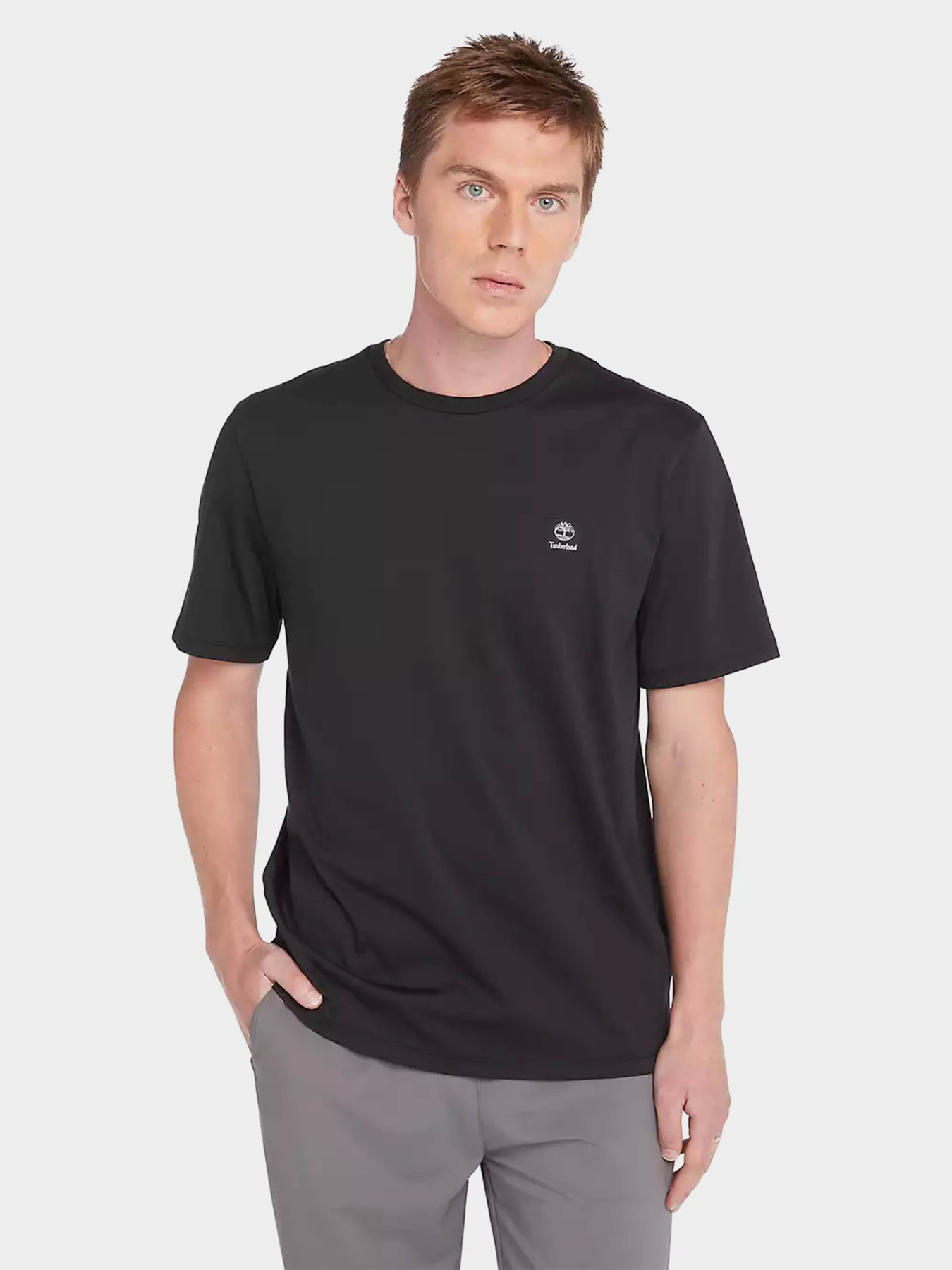 Футболка Timberland Woven Badge модель TB0A5RCE001 Фото