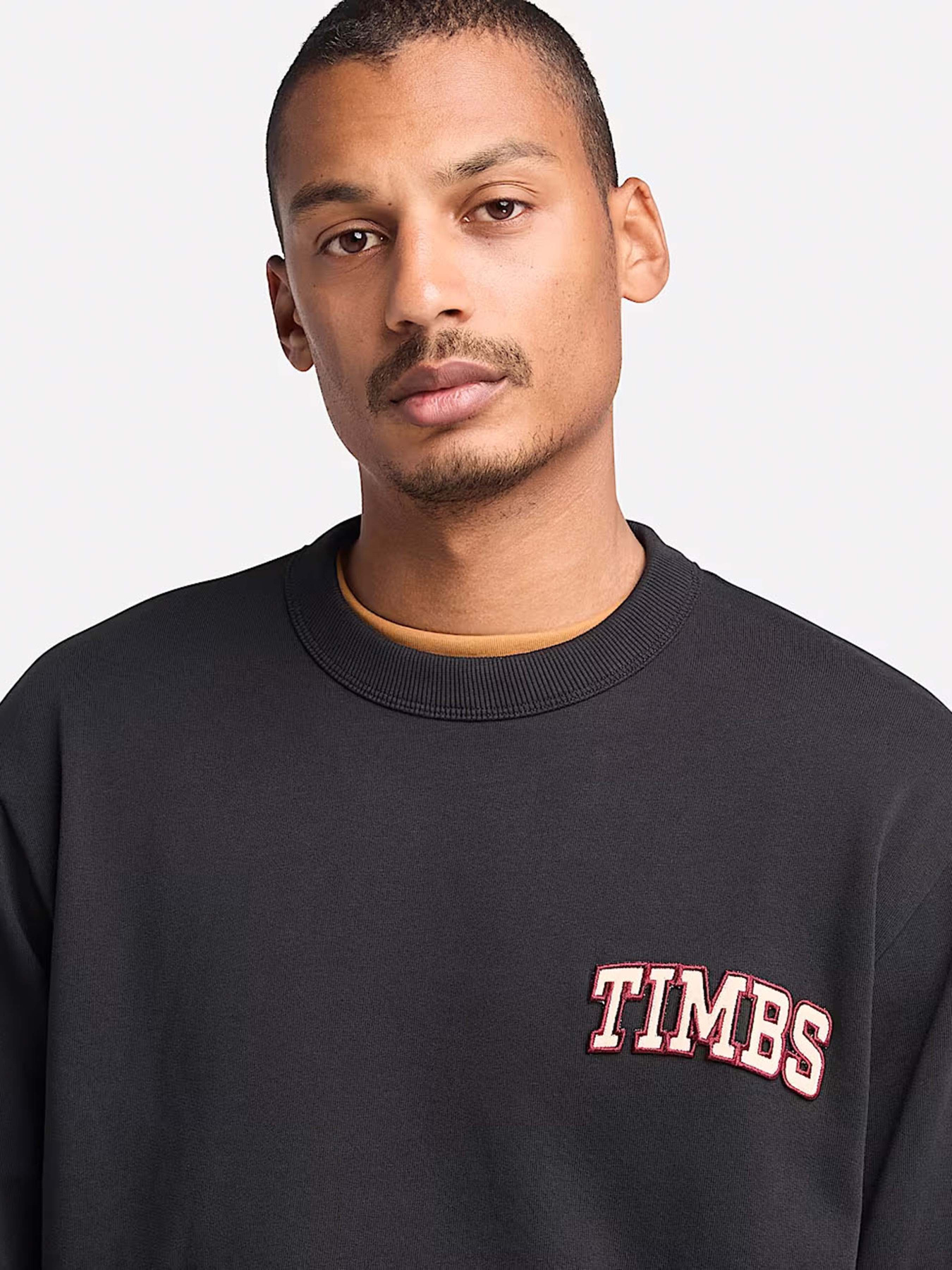 Свитшот Timberland TIMBS Graphic Crewneck модель TB0A6GPQ001 Фото